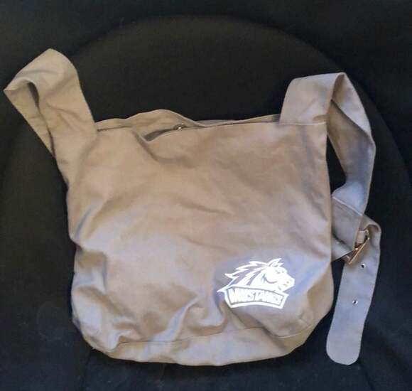 Western Mustangs Other - Western Mustangs Canvas Messenger Bag Grey Adjustable Buckle Strap